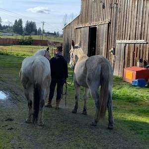 Meet your Posher, Danielle